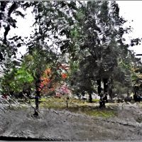 Дъжд ( RAIN), Добрич
