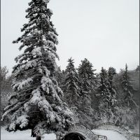 Зима, Добрич