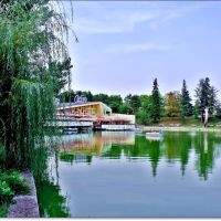 The lake and restaurant "Swan" / Езерото и ресторант "Лебед", Добрич