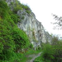 Планински път, Враца
