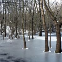 Замръзнало езеро / Frozen lake, Золотые Пески