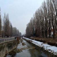 Край реката редят се редят се тополите... / Poplars..., Кюстендил