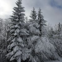 Winter, Михайловград
