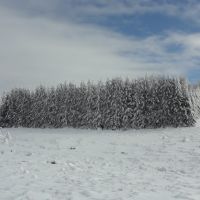 Зимен пейзаж, Михайловград