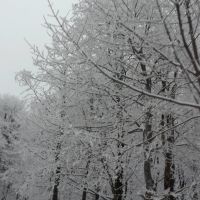 Снежно бели, Михайловград