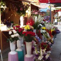 The flower market, Русе