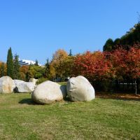 Странни камъни в Сандански / Strange Stones in Sandanski, Сандански