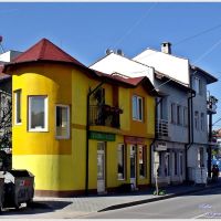The yellow house / Жълтата  къща, Свиленград