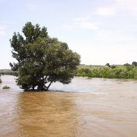 Flood in the river Evros (Svilengrad Bulgaria), Свиленград