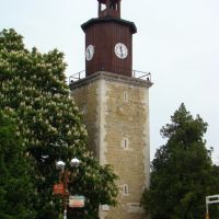 Свищов - часовниковата кула, Свиштов