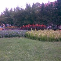 park, Хасково
