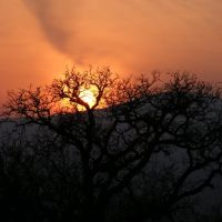 Sunset in the heart of the tree, Казанлак