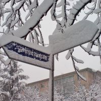 Winter in Dimitrovgrad, Димитровград
