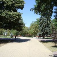 Park in Dimitrovgrad, Bulgaria, Park.jpg, Димитровград