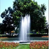Fountain / Фонтан, Димитровград