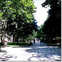 Main street / Главната улица, Димитровград