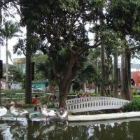 Praça da Matriz, jardins., Виториа-да-Конкиста
