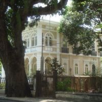Casa do Vitória, leão e mangueira., Витория