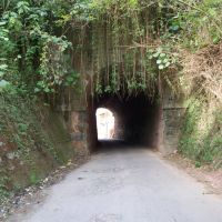 Boca sul do pequeno túnel da E.F.O.M. em Barbacena, Барбасена