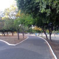 Parque, Петролина