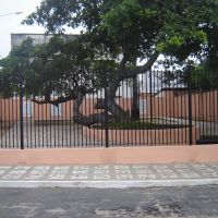 Cajueiro de Humberto de Campos, Парнаиба