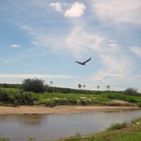 Voar sobre o rio... Mineiro 2009, Моссору
