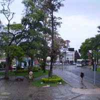 Praça Com Chuva, Жау