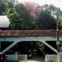 O Zoológico Municipal de Catanduva "Missina Palmeira Zancaner" conta com 300 animais de 70 espécies diferentes em uma área de mata nativa preservada perto do centro da cidade., Катандува