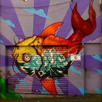 fachada de loja na Rua Augusta decorada com trabalho de Binho Ribeiro 金魚 ezamprogno, Сантос