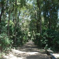 Bosque John Kennedy - Araguari/MG., Арагуари