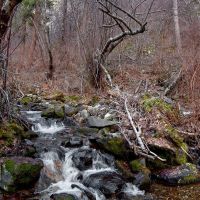 Corn Creek in thick brush (difficult traveling), Барли