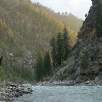 Wild and Scenic Salmon River, Барли