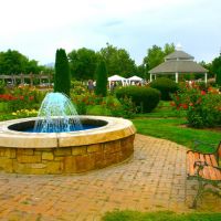 The Rose Garden, Julie Davis Park, Downtown Boise, Idaho, Бойсе