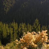 View from the Lolo Trail (route of Lewis and Clark), Маунтейн-Хоум