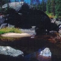 A quiet pool in Loon Creek. Lick Creek Mountains, Монтпелье
