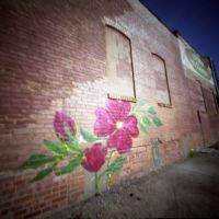 Pinhole, Iowa City, Graffiti (2012/APR), Айова-Сити
