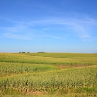 Endless Iowa Fields, Гилбертвилл