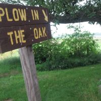 Plow in the Oak, Гринфилд