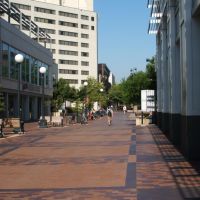 The Pedestrian Mall looking west. Iowa City, Ред-Оак