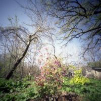 Pinhole, Iowa City, Spring 6 (2012/APR), Элк-Ран-Хейгтс