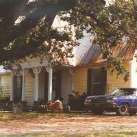 4 cool & unique things in this photo tree, house, dog, car) Rienzi Mississippi (8-14-1996) scanned 35mm, Бриллиант