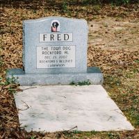 Grave of Fred, the Town Dog, Rockford, Alabama, Голдвилл