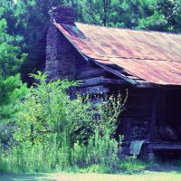 old Dozier log cabin, Barnesville Alabama (8-6-2006), Голдвилл