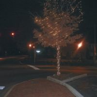 Birmingham_Alabama-2003-12-06 Tree_Lights_at_Night, Карбон Хилл