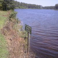 Lake & alligator warning sign, Geneva state forest, Кинстон