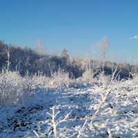 Ice cold, Кордова
