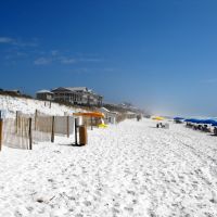 The incredible white sands of Seaside, Коттонвуд