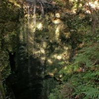 Waterfall at Falling Water State Park, Коттонвуд