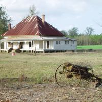 Abandoned farmhouse, Inwood, Florida (12-30-2006), Коттонвуд