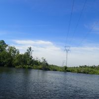Power lines across Bayou Sara, Креола